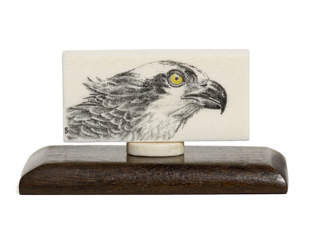 David Smith Scrimshaw - Osprey on Antique Ivory Domino