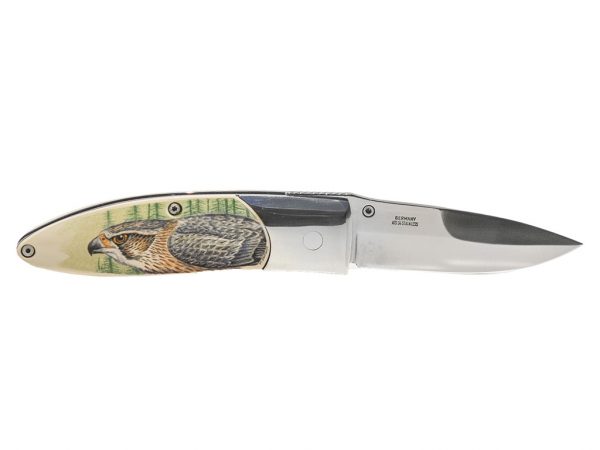 Matt Stothart Scrimshaw - Scrimshaw Knife Falcons