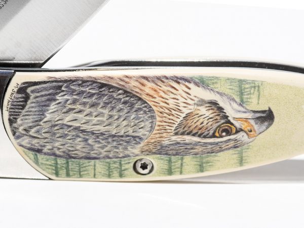 Matt Stothart Scrimshaw - Scrimshaw Knife Falcons