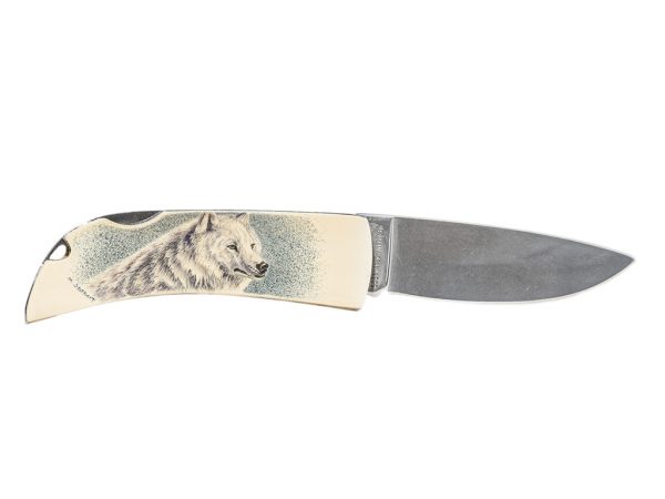 Matt Stothart Scrimshaw - Wolf Scrimshaw Knife