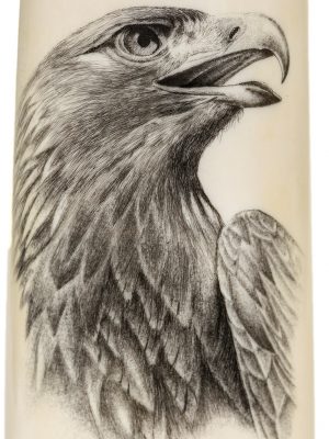 David Smith Scrimshaw - Awesome Golden Eagle - Scrimshaw Collector