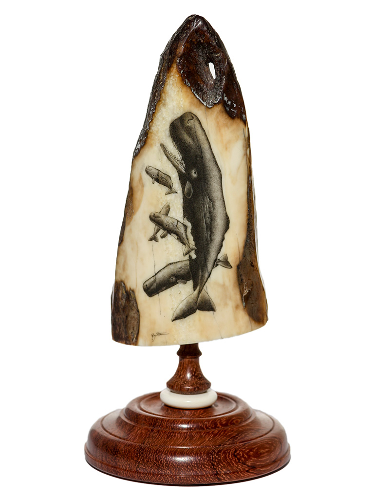 Ray Peters Scrimshaw - Sperm Whale Pod - Scrimshaw Collector
