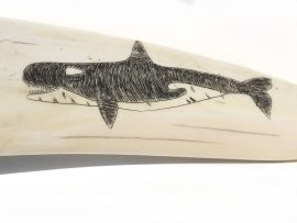 Rare Dorning & Slwooko Scrimshaw