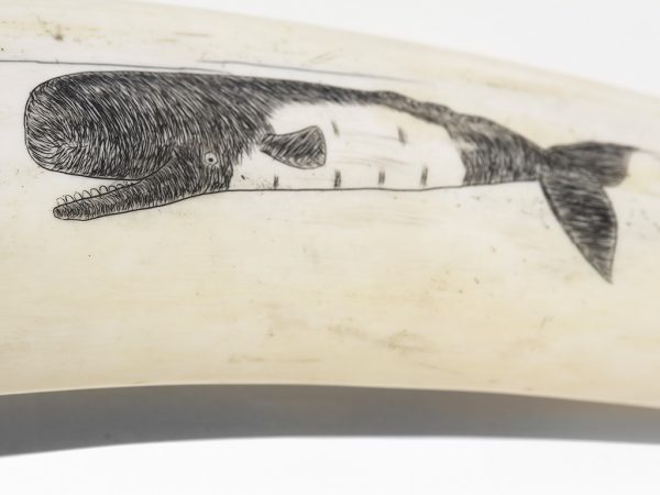 Rare Dorning & Slwooko Scrimshaw