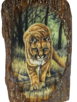 Matt Stothart Scrimshaw - Stalking Puma