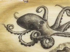 Ray Peters Scrimshaw - Amazing Octopus