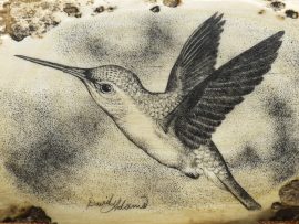 David Adams Scrimshaw - Hummingbird in Flight