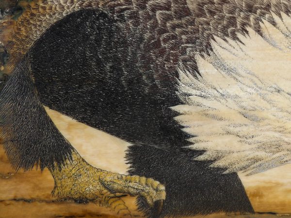 D. Adams Scrimshaw - Bald Eagle's Prey in Sight