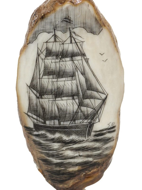 Salman Rashidi Scrimshaw - Clipper Heading Out