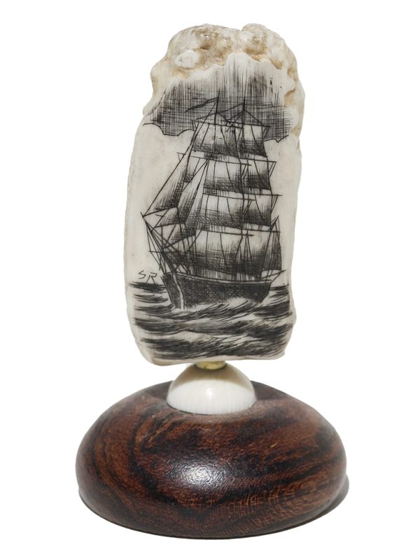 Salman Rashidi Scrimshaw - Square Rigger at Sea