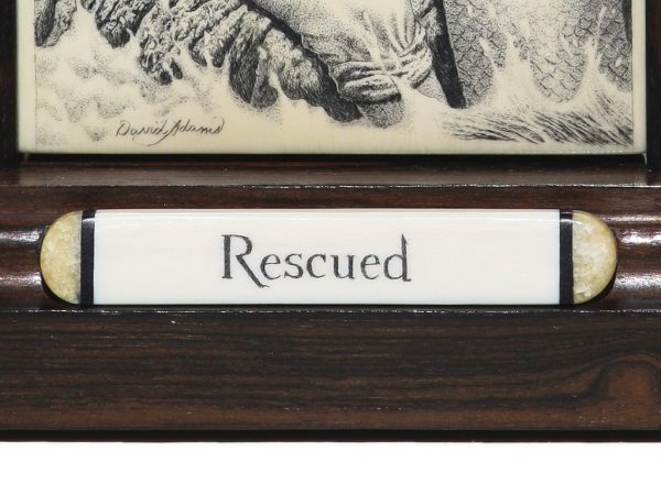 David Adams Scrimshaw - RESCUED