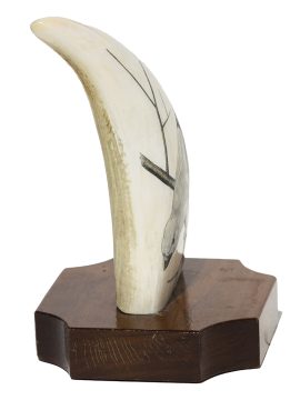 Frank Barcelos Scrimshaw - Yellow Headed Grosbeak