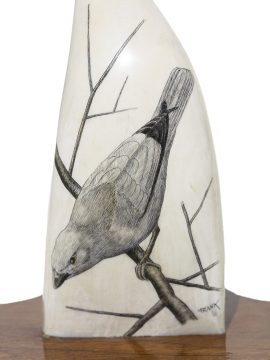 Frank Barcelos Scrimshaw - Yellow Headed Grosbeak