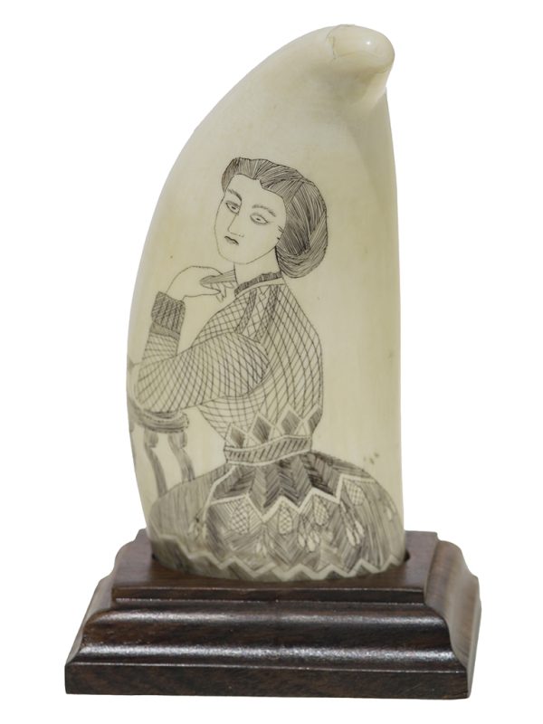 Unknown Artist - Cameo 1908 - Scrimshaw Collector