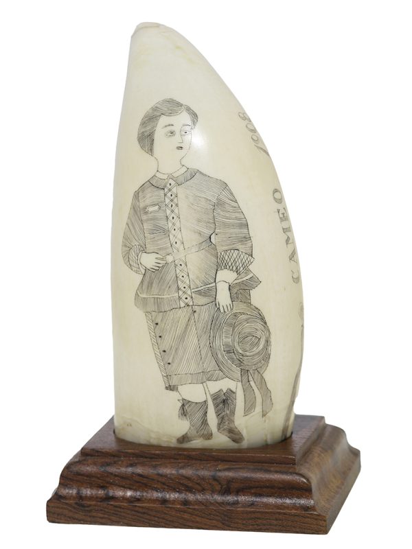 Unknown Artist - Cameo 1908 - Scrimshaw Collector