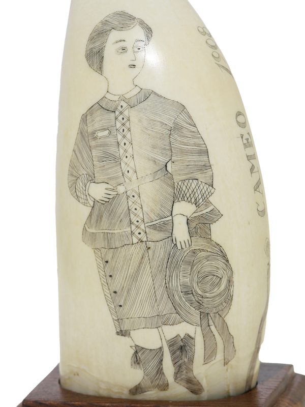 Unknown Artist - Cameo 1908 - Scrimshaw Collector