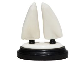 Steve Williams Scrimshaw - Clipper Two Views