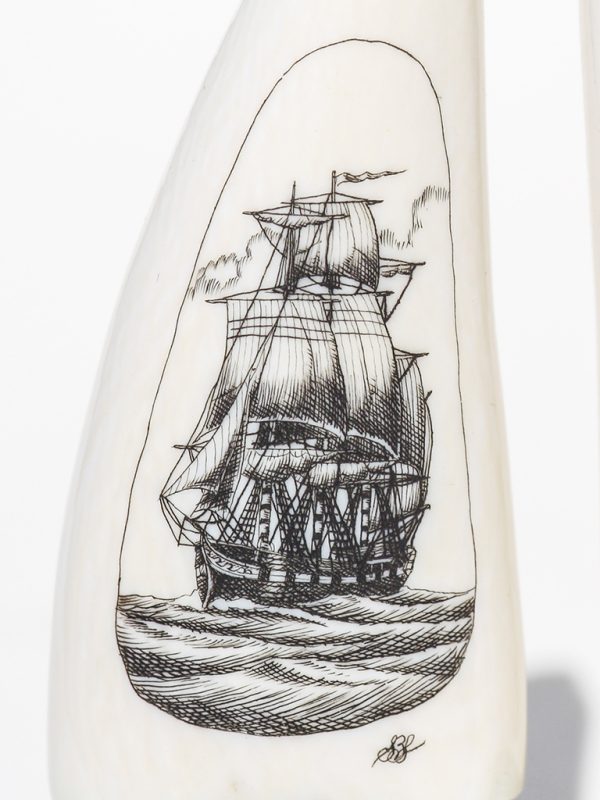 Steve Williams Scrimshaw - Clipper Two Views