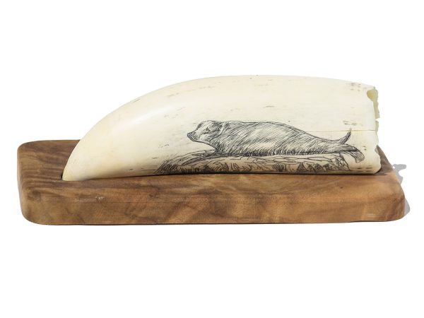 Unknown Artist - Double Sides Scrimshaw