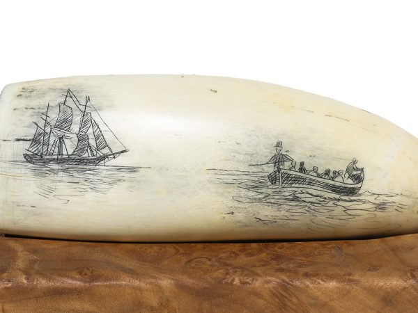 Unknown Artist - Double Sides Scrimshaw