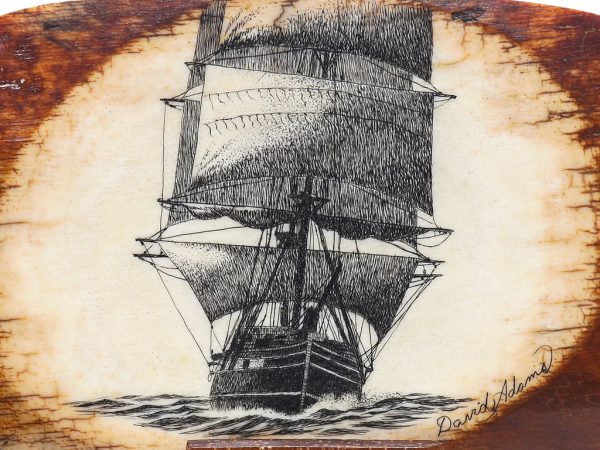 David Adams Scrimshaw - Shadow Sails