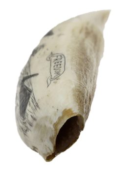 Unknown Artist - Whale's Tooth Scrimshaw 