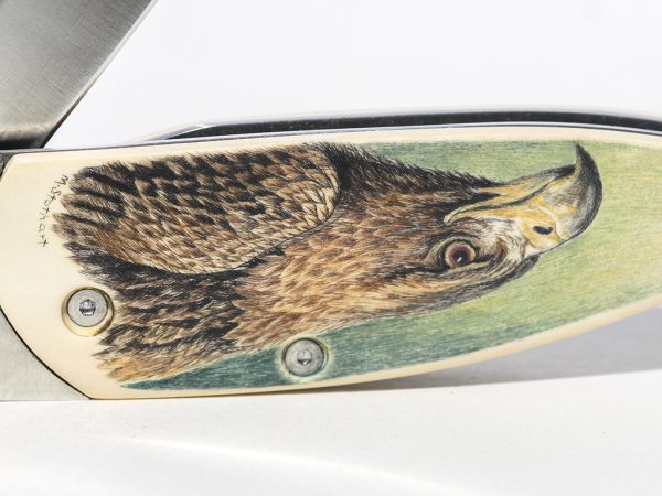 Matt Stothart Scrimshaw - Scrimshaw Eagles Knife