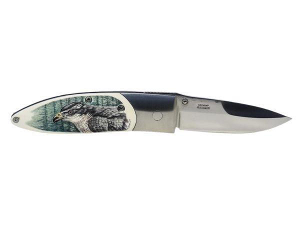 Matt Stothart Scrimshaw - Scrimshaw Hawk Knife