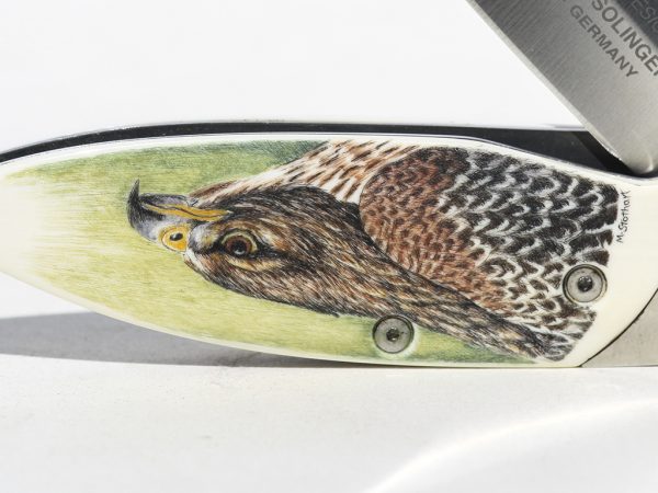 Matt Stothart Scrimshaw - Scrimshaw Hawk Knife