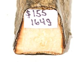 Fossil Walrus Tusk Raw Ivory - Scrimshaw Collector