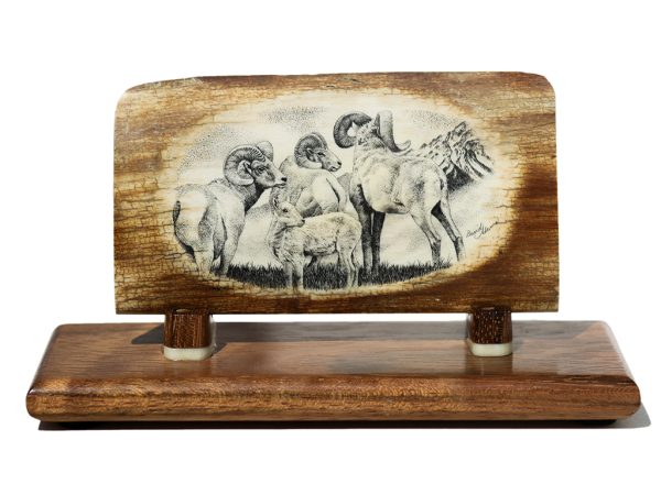 David Adams Scrimshaw - Big Horn Sheep Family