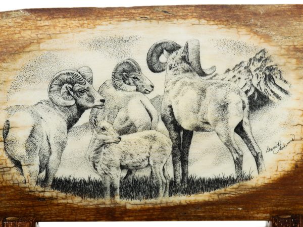 David Adams Scrimshaw - Big Horn Sheep Family