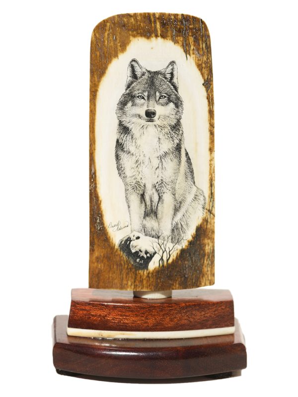 David Adams Scrimshaw - Vigilant Lone Wolf