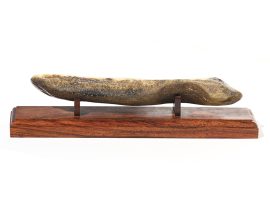 Fossil Walrus Tusk Raw Ivory