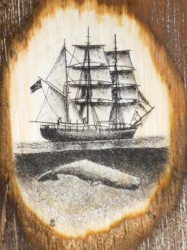 David Smith Scrimshaw - Sperm Whale Below