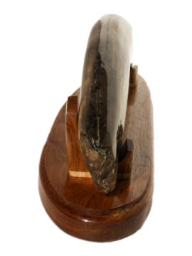 alrus Tusk Ivory Net Sinker