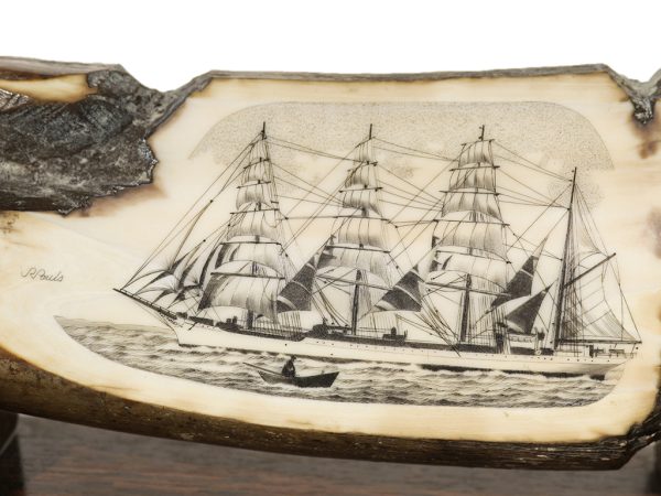 Jim Pauls Scrimshaw - Sovereign of the Seas