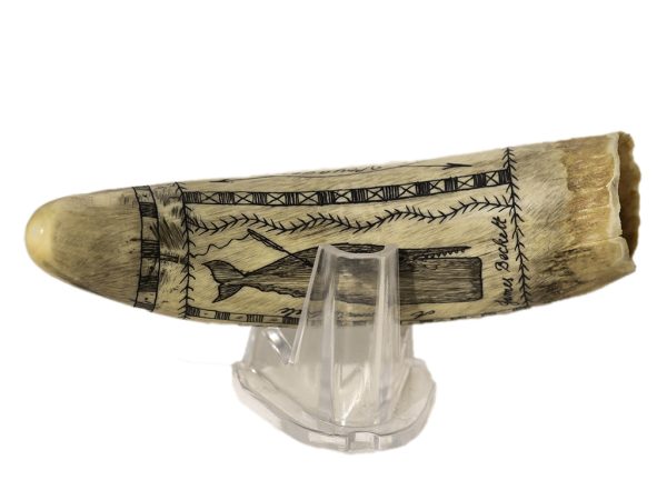 James Beckett Scrimshaw - Whaler "The Voyager"