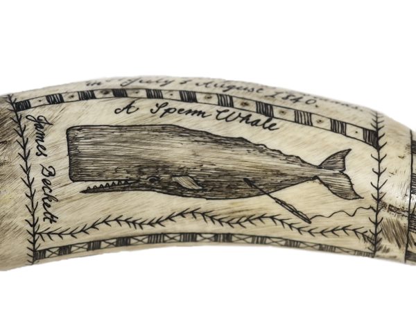 James Beckett Scrimshaw - Whaler "The Voyager"