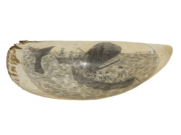 Unknown Artist - Ship California New Bedford 1878 - Scrimshaw Collector