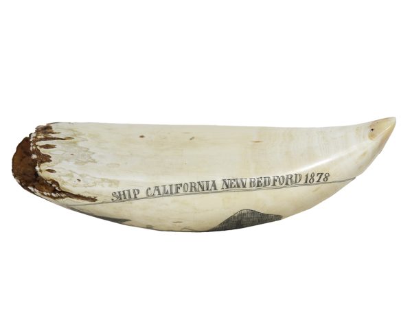 Unknown Artist - Ship California New Bedford 1878 - Scrimshaw Collector