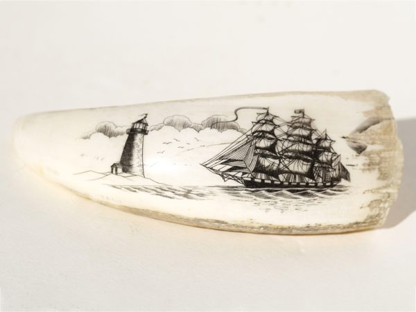 Unknown Artist - Whale's Tooth Scrimshaw