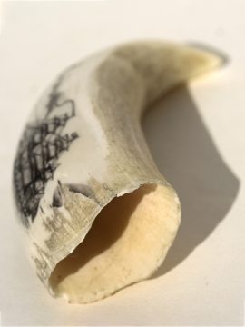 Unknown Artist - Whale's Tooth Scrimshaw