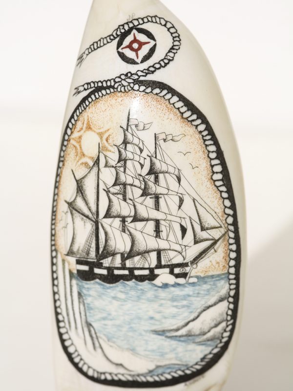 A. White Scrimshaw - Arctic Whaler