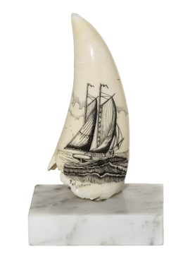 J.B. Pierce Scrimshaw - Full Sail Schooner